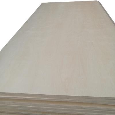 China 18mm modern plywood/finnish birch plywood/white birch plywood for sale