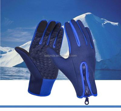 China Waterproof Custom Sports Fleece Fabric Winter Warm Windproof Gloves For Hiking for sale