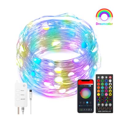 China Indoor Light Voice Control LED String Lights RGB Smart Light for Christmas Decoration Music Control WiFi BT Work with Alexa and Google for sale