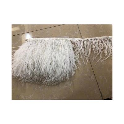 China Ostrich Feathers Special Design Widely Used Decorativemulti-color Ostrich Fringe Feather Decorations China Wholesale for sale