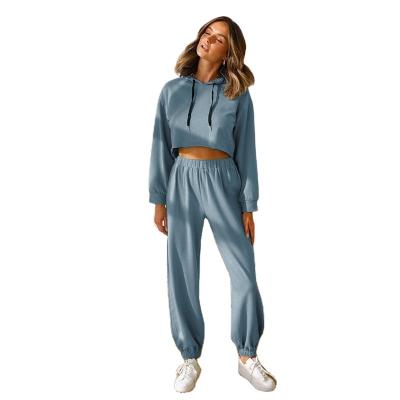 China 2021 Autumn New Breathable High Quality Solid Color Long Sleeve Crop Top Pants Suits Two Piece Set Tracksuits Sports Suits For Women for sale