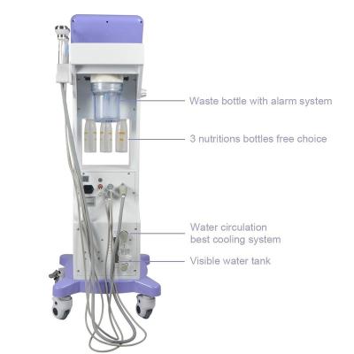 China Professional Multifunctional Hydraulic Facial Skin Revitalizer Skin Care Microdermabrasion Machine for sale