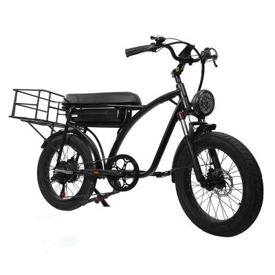 China Big Size Bikeelectric Fashion Design Aluminum Alloy Fat Tire 2 Person Electric Bike 48V 750W Two Wheels Electric Bikes For Adults for sale