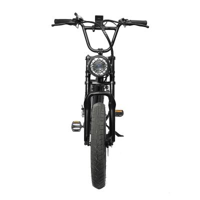 China Aluminum Alloy 7 Speed ​​Electric Mountain Bike/Frame Ervebo 500w 48V 10Ah Aluminum Electric Bicycle,20