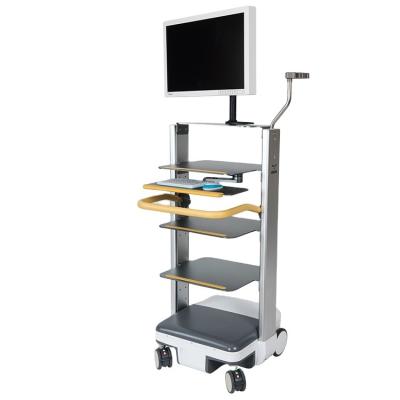 China Tropical IKEDA Medical ENT Endoscope Cart for sale