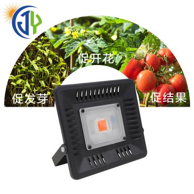 China Seed starting hot sale 50W crees led grow light cob for sale