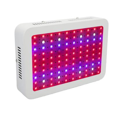 China 1000w 1500w 2000w Indoor Full Spectrum Hydroponic Greenhouse Cob Starting Seed Led Grow Light Bar Plant Light for sale