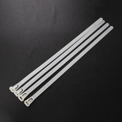 China UV Protection Widely Used Self Locking Nylon Cable Ties Plastic Zip Ties for sale