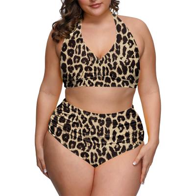 China Hot Selling Custom Tribal Julysand Plus Size Leopard Print Swimwear Women Plus Size Women's Plus Size Swimwear for sale