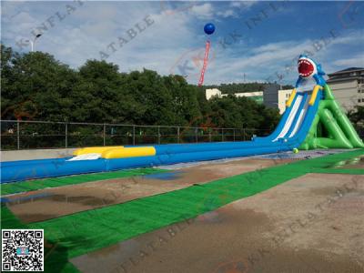 China Commercial Big Shark Inflatable Backyard Water Slide For Beach for sale