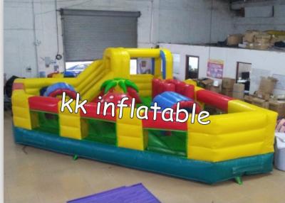 China Personalize o leão-de-chácara inflável atrativo/castelo Bouncy de salto à venda