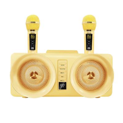 China SD307 Wireless Karaoke Speaker Dual Wireless Microphone TV Karaoke for sale