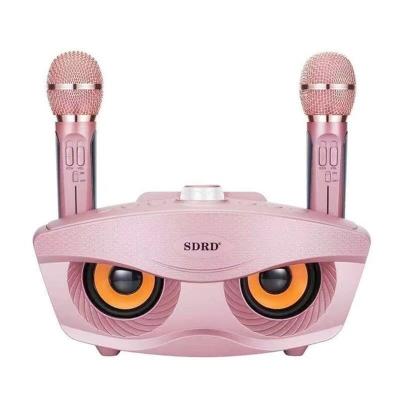 China Wholesale SD306 20W Bass Sound Family KTV 2 Portable Karaoke AirPlay BT Wireless BT Speaker with Handheld Dual Microphone Owl Speaker for sale