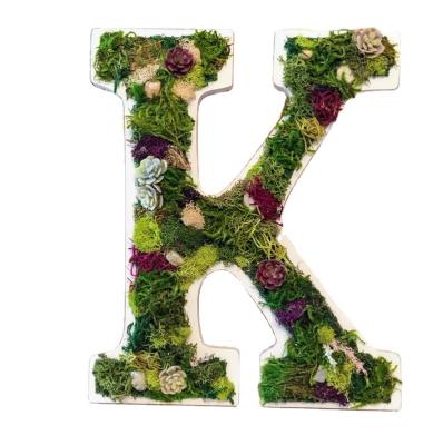 China Succulent Europe Nursery Sign Over Crib Name Sign Custom Letter Wooden Letters for sale