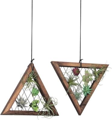 China Adjustable Air Plant Triangle Frame (Height) Hanging Airplant Rack Succulent Plants Show Hanger Shelf for sale