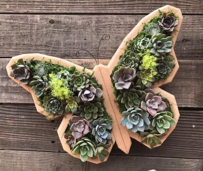 China American Vertical Succulent Garden Arrangement Butterfly Style Wooden Succulent Planter Without Succulent for sale