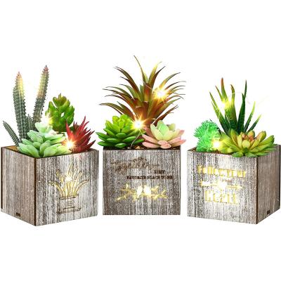 China Sweet Succulent Plants Mini Faux Potted Succulents Plants Artificial in LED Wooden Box for sale