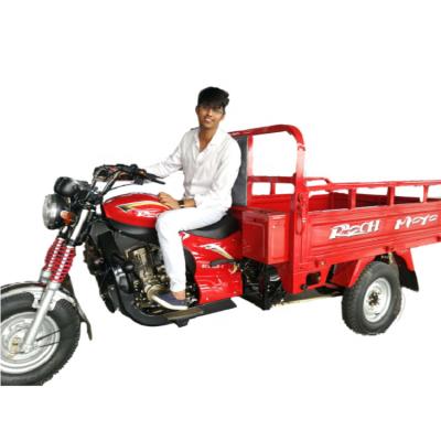 China China 150cc Cargo Tricycle For Africa Market for sale