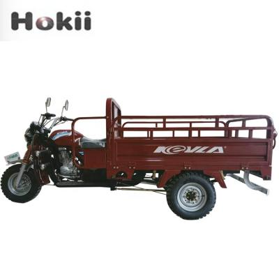 China Hokii High Quality 200cc Air Cooled Cargo Gasoline-Engine-Trike-Cargo-Bike Motorized Tricycles For Adults for sale