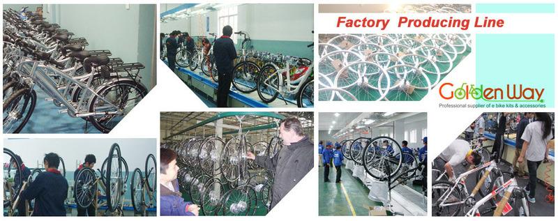 Proveedor verificado de China - Golden Way Cycle (Jiaxing) Co., Ltd