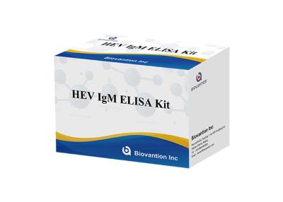 China HEV IgM Elisa Test Kit Serum Vs Plasma For Antibody Detection for sale