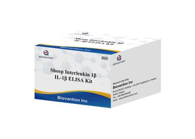 China Schafe Interleukin 1 Test Kit Il 1b Elisa Kit Beta Elisa Kits IL1F2 ELISA RUO zu verkaufen