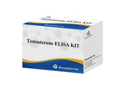 China Testosterone Elisa Test Kit High Specificity For Accurate Diagnosis for sale