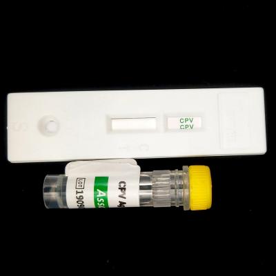 China Canine Distemper Virus Veterinary Rapid Test Immunochromatography for sale