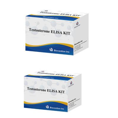 China Male Sex Hormone Testosterone Hormone ( Quantitative )  Elisa Test Kit For Diagnose for sale