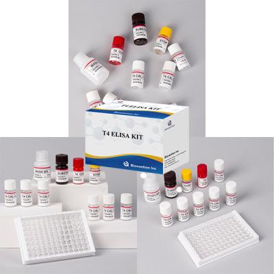 Cina Test dell' ormone tiroideo T4 Triiodotironina ELISA TEST KIT in vendita