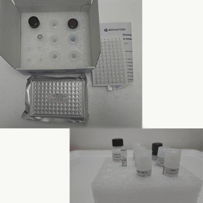 China Human TNF-α  RUO Elisa Test Kit For Serum With 96 Tests for sale