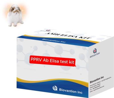 China Peste Des Petits Ruminants PPRV Ab ELISA Kit Veterinary Test Kit for sale