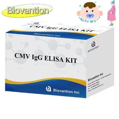 China CMV IgG ELISA Kit Pregnant Women Preventive Test High Accuracy for sale