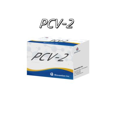 China WB/S/P PCV-2 ELISA test for animal antibody veterinary Reagents for sale