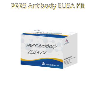 China ELISA test for animal PRRSV Porcine PRRS antibodies antibody veterinary Reagents ivd for sale