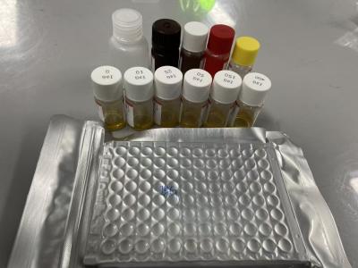 China Rat Bcl-2 Serum Method ELISA Sample Type Serum ELISA RUO Test Kit With 98% Specificity for sale