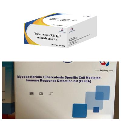 China Highly Sensitive Colloidal Gold Rapid Test for Tuberculosis TB -IgG Antibody Detection for sale