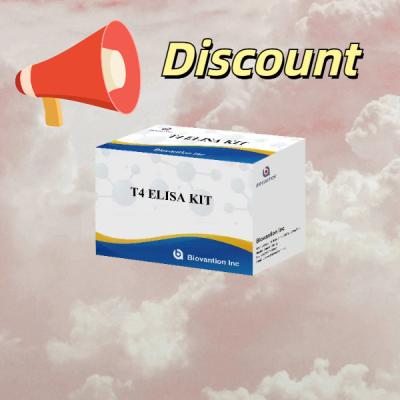 China Meestal gebruikte schildklierhormoontest T4 Triiodothyronine ELISA TEST KIT Te koop