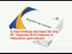 H. Pylori Antibody (Ab) Rapid Test Strip Kit - Diagnostic Kit for Detection of Helicobacter pylori Infection