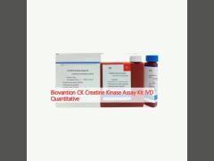 Biovantion CK Creatine Kinase Assay Kit IVD Quantitative 