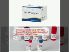 Biovantion High-Sensitivity CMV ELISA Reagent Kit for Cytomegalovirus Antibody Detection – IgG/IgM Testing