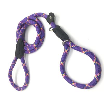 China Custom Made in Taiwan, Manufacturer in Running Dog Leash Rope Dog Training Leash for sale