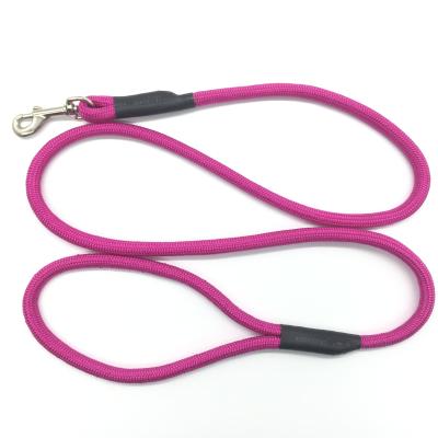 China Personalized Daily Essential Dog Supplies Durable Rope Leash For All Breed And Sizes Dog Leash for sale