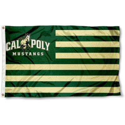 China Cal Poly Mustangs Flag custom made FLYING 90 x 150 cm polyester banner mustangs star spangled banners for sale