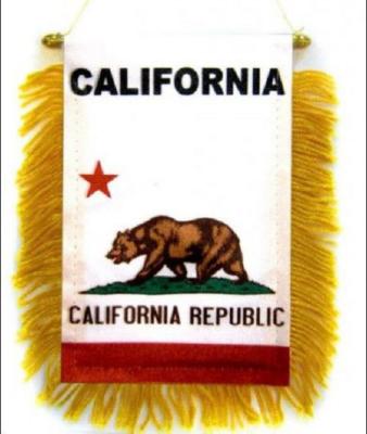 China Cheap Hanging California Banner Flag Mini Pennant For Hanging for sale