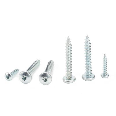 China Pan Galvanized Pan Torx Head Tapping Screw For Plastic for sale