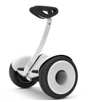 China Xiaomi Ninebot No.9 Unisex CE 10.5 Inch Resistance Version 2 Portable High Shock Absorption Customized Wheel Electric Mobility Scooter for sale