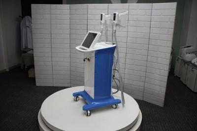 China German imported medical pipe fat freezing slimming equipment for sale