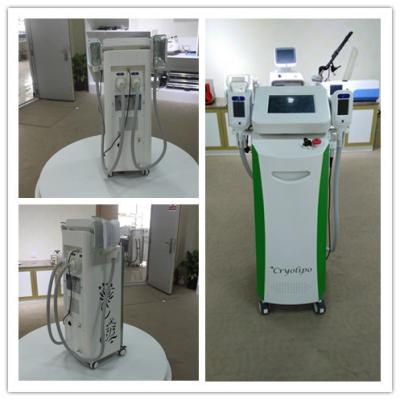 China 15 inch big screen blue Cryolipolysis slimming machine say no to fatness for sale