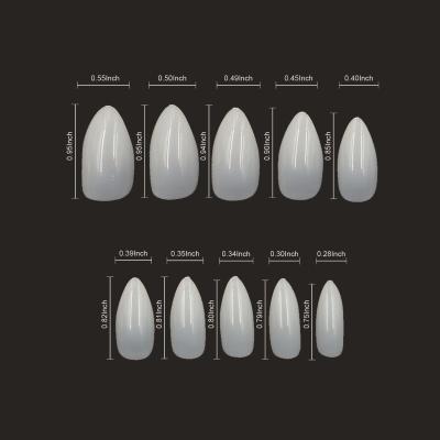 China Eco-friendly Ready To Ship 600 Pcs ABS Natural Curved Coffin Tapered Full Size Nail Tips XXL Clear Nail Tips Bulk for sale